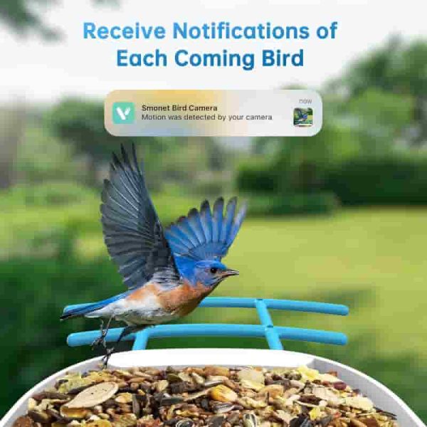 Smart Bird Feeder With Camera - Solar-powered Ai Recognition - Image 4