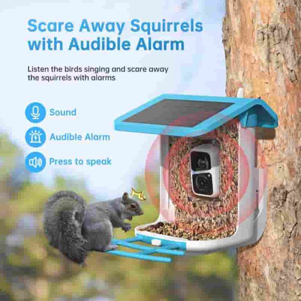 Smart Bird Feeder With Camera - Solar-powered Ai Recognition - Image 6
