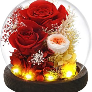 Best Preserved Rose Flower Gift For Mom, Wife, Grandma - Led Glass Dome