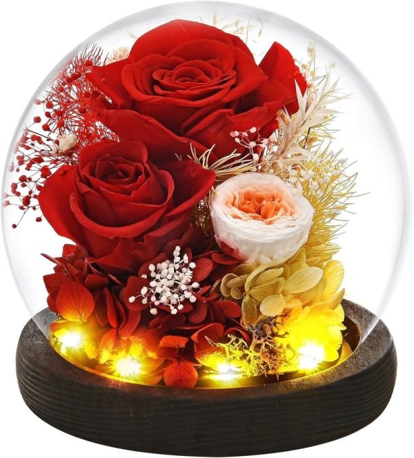 Best Preserved Rose Flower Gift For Mom, Wife, Grandma - Led Glass Dome