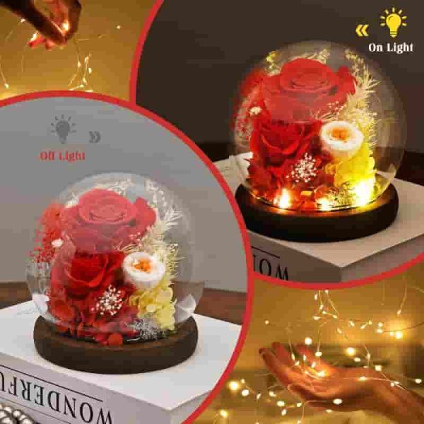 Best Preserved Rose Flower Gift For Mom, Wife, Grandma - Led Glass Dome - Image 4