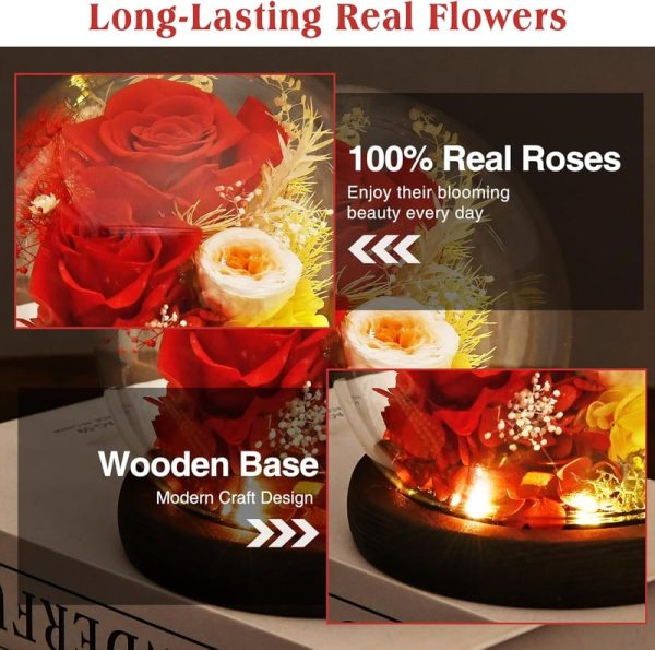 Best Preserved Rose Flower Gift For Mom, Wife, Grandma - Led Glass Dome - Image 5