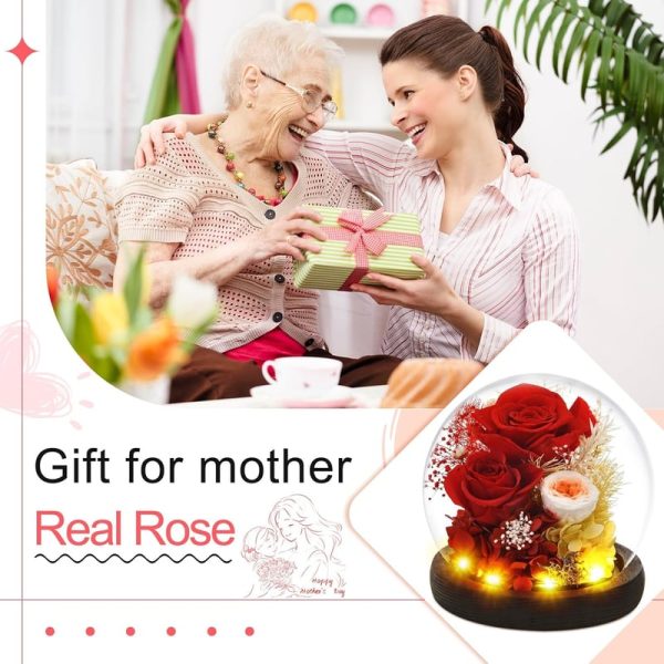 Best Preserved Rose Flower Gift For Mom, Wife, Grandma - Led Glass Dome - Image 6