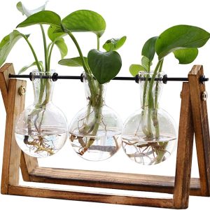 Vintage Plant Terrarium Tabletop Hydroponic Vase