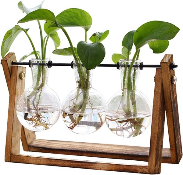 Vintage Plant Terrarium Tabletop Hydroponic Vase