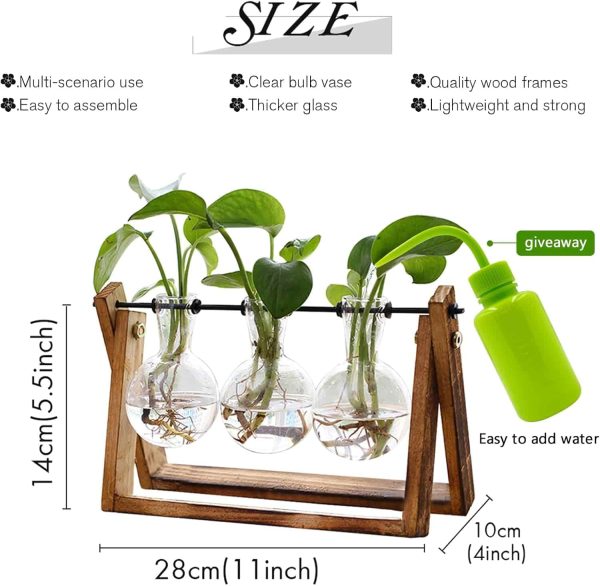 Vintage Plant Terrarium Tabletop Hydroponic Vase - Image 2