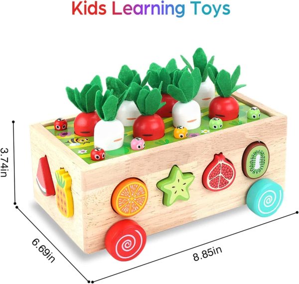 Montessori Wooden Toddlers Toys Shape Sorting Learning - Image 3