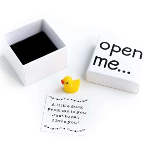 I Love You Valentine's Duck Matchbox Boyfriend Girlfriend