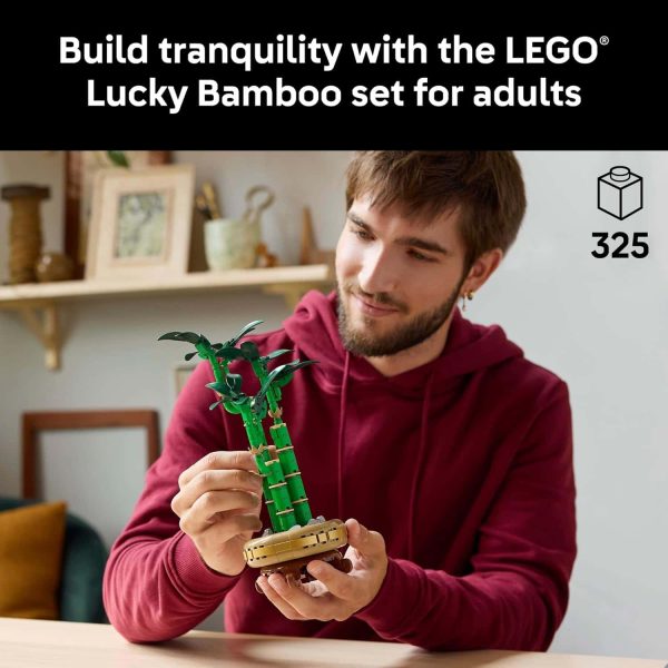 Lego Botanicals Lucky Bamboo Set - Adult Décor Gift - Image 2